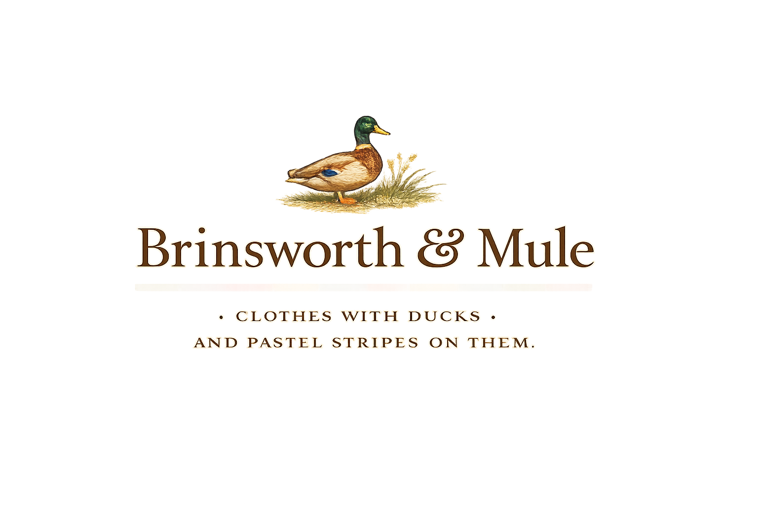 Brinsworth & Mule logo
